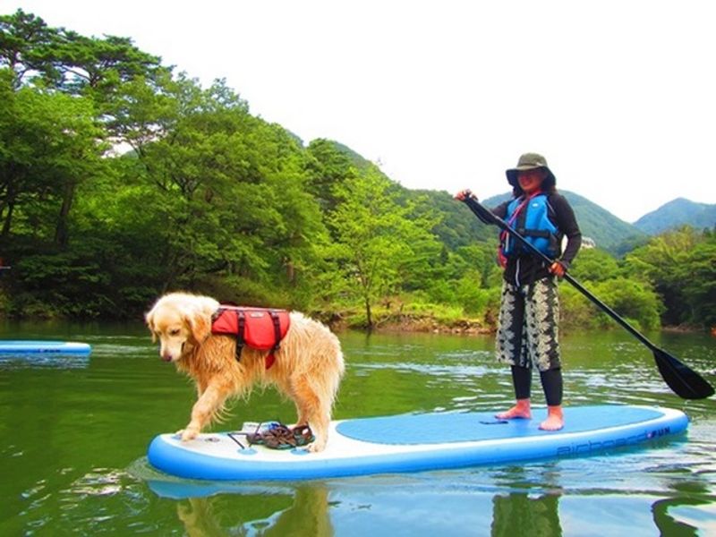 Paddler and dog on a SUP