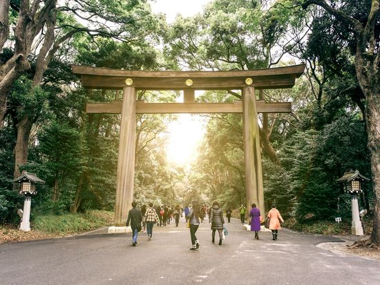 Follow a winding path to Meiji Shrine