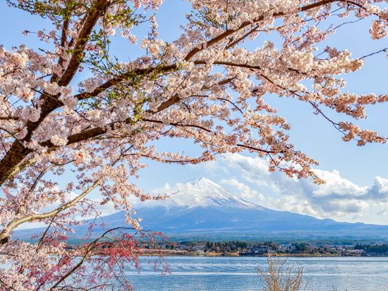 Mt. Fuji from the Fuji Five Lakes