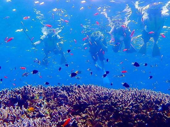 竭。繝昴う繝ウ繝亥芦逹縲る搨縺ョ豢樒ェ滓爾讀懶シ・す繝・繝弱・繧ア繝ェ繝ウ繧ー繧ケ繧ソ繝シ繝・