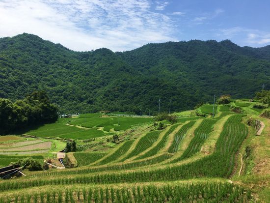 蜊・椢逕ー竭」