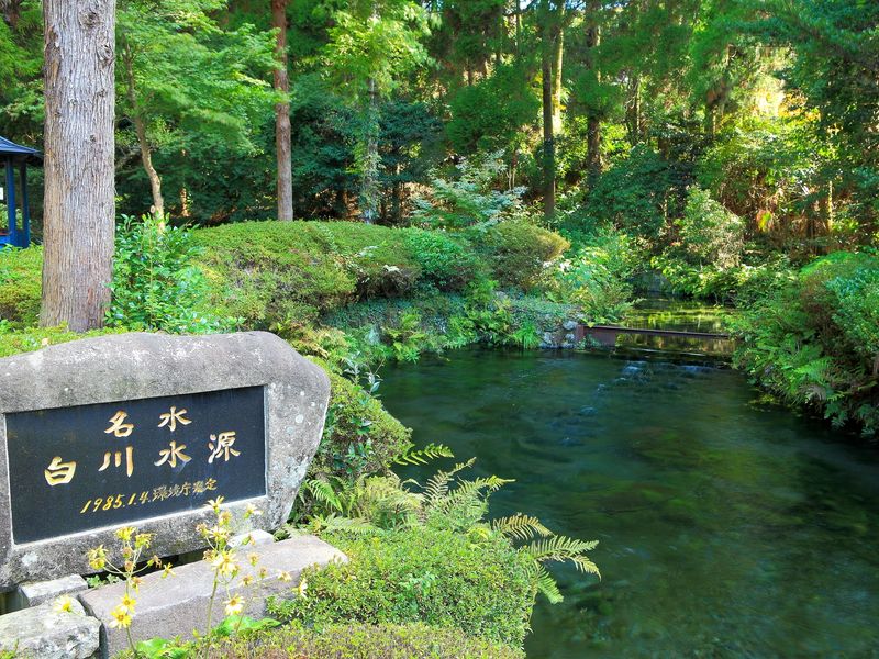 Kumamoto_Shirakawa Suigen_白川水源_pixta_12677501_