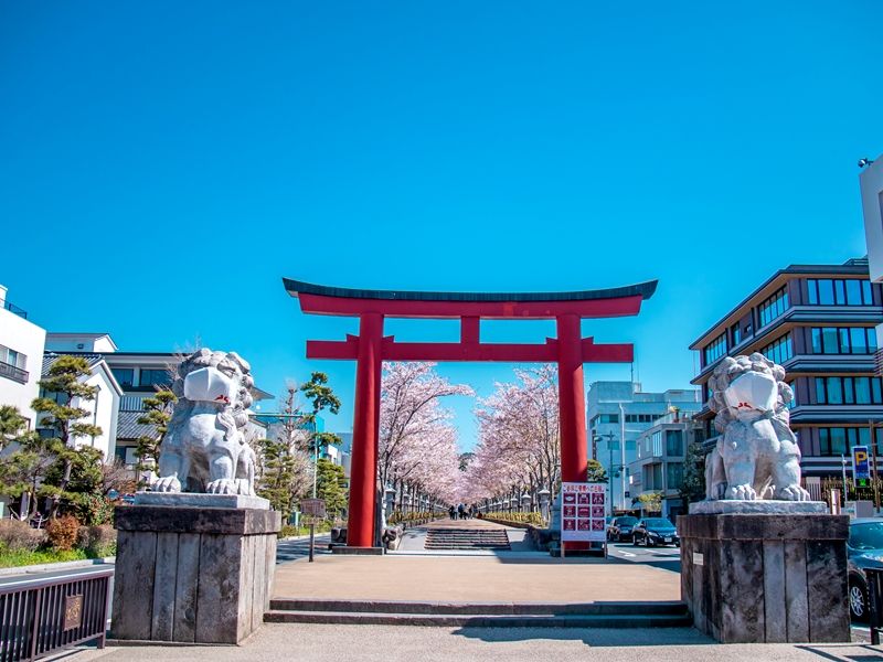 pixta_91097676_M八幡宮段葛