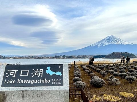 kawafuchiko