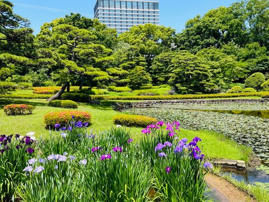 eastgarden